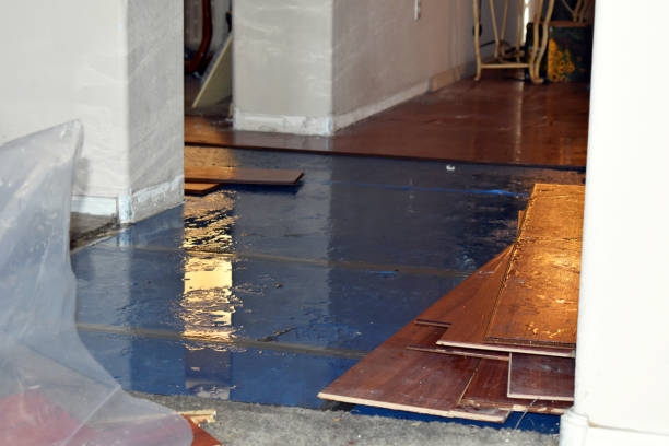 Professional Water Damage Restoration technician working in Leon, IA